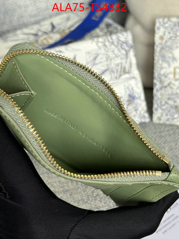 ID: TS4832 $: 75USD,