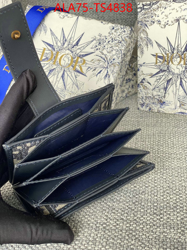 ID: TS4838 $: 75USD,