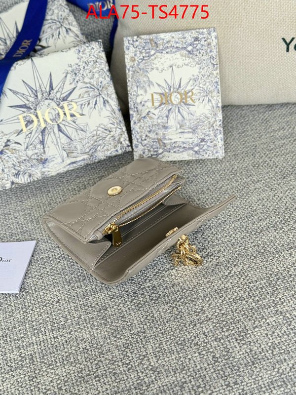 ID: TS4775 $: 75USD,