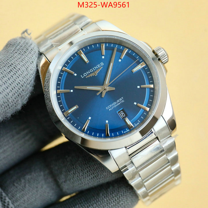 ID: WA9561