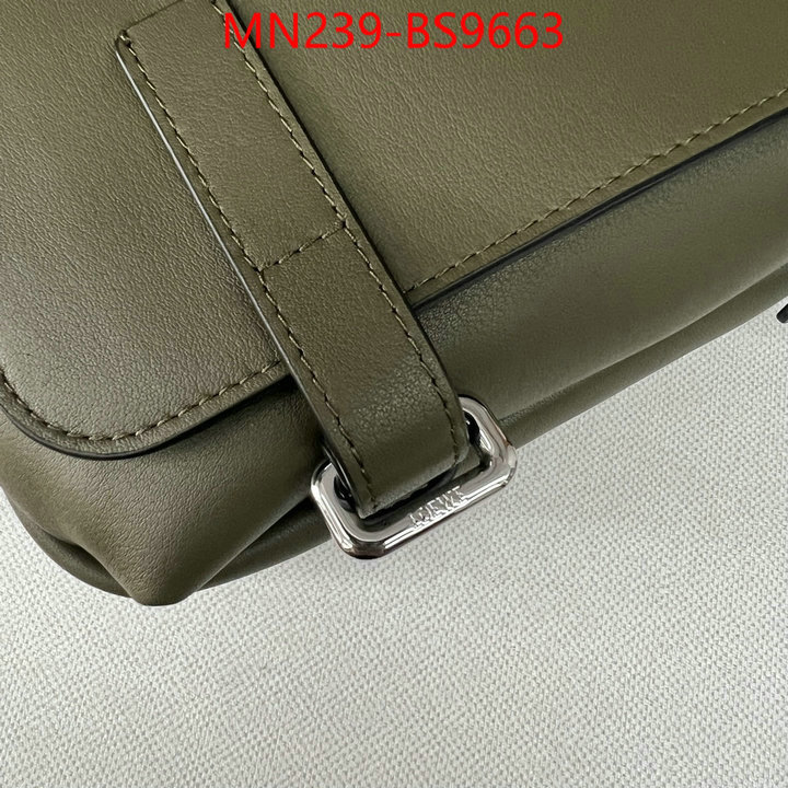 Loewe Bags(TOP)-Crossbody- luxury cheap ID: BS9663 $: 239USD,