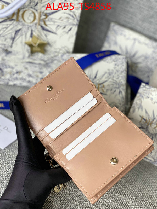 ID: TS4858 $: 95USD,