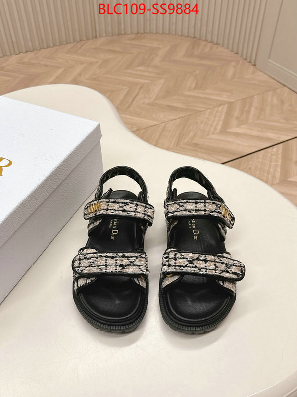 Women Shoes-Dior wholesale 2024 replica ID: SS9884 $: 109USD