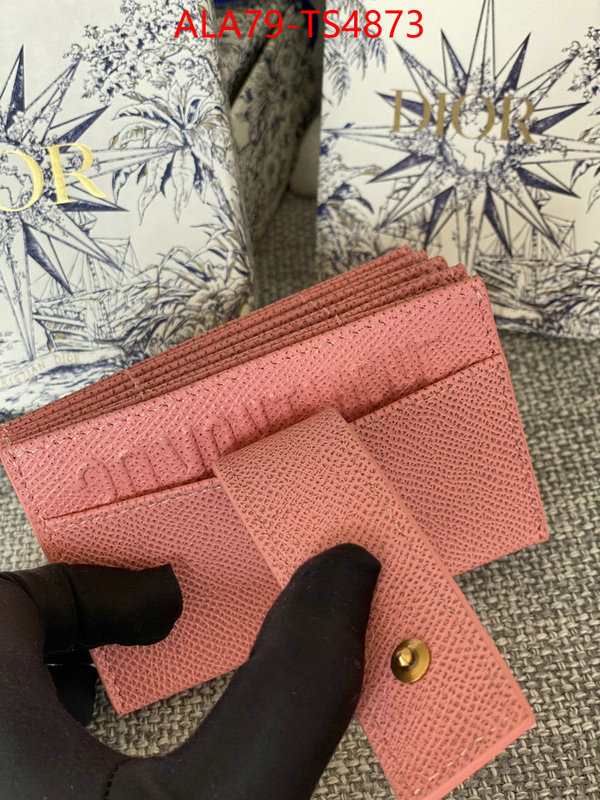 ID: TS4873 $: 79USD,