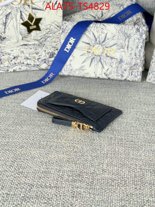 ID: TS4829 $: 75USD,