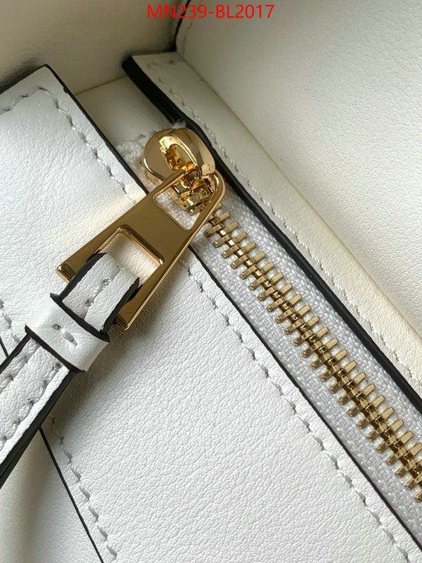 Loewe Bags(TOP)-Handbag- ID: BL2017 $: 239USD,