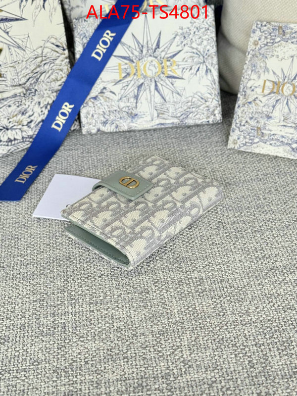 ID: TS4801 $: 75USD,
