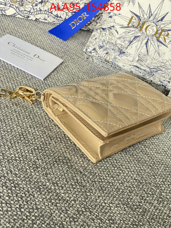 ID: TS4858 $: 95USD,