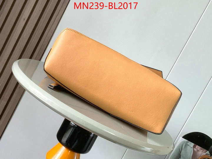 Loewe Bags(TOP)-Handbag- ID: BL2017 $: 239USD,