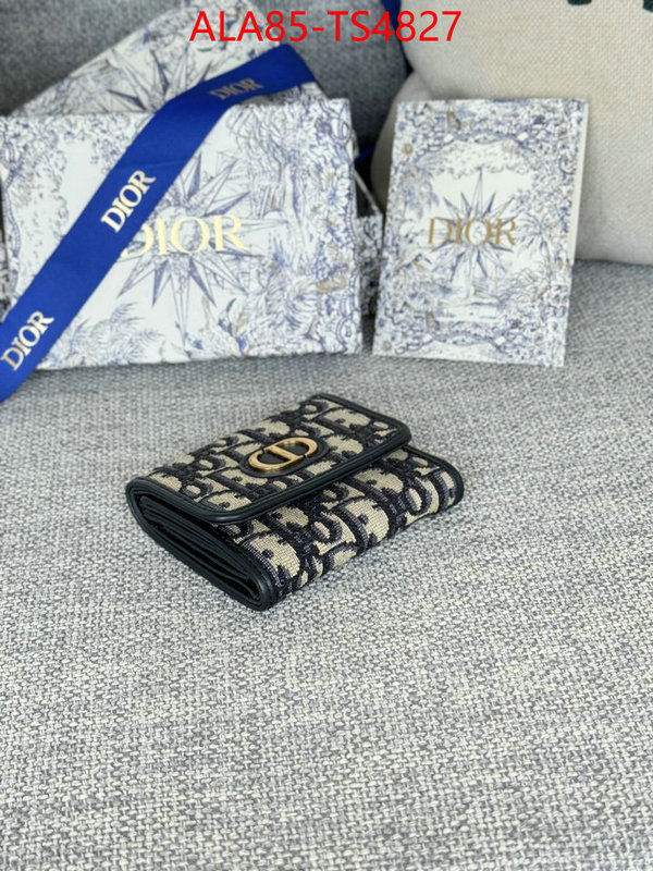 ID: TS4827 $: 85USD,