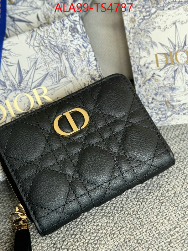 ID: TS4787 $: 99USD,