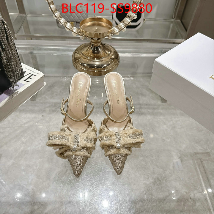 Women Shoes-Dior store ID: SS9880 $: 119USD