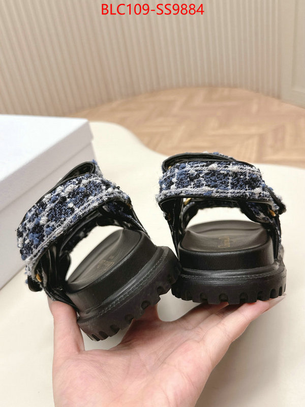 Women Shoes-Dior wholesale 2024 replica ID: SS9884 $: 109USD