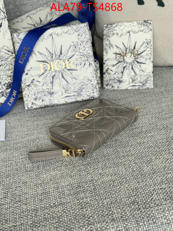 ID: TS4868 $: 79USD,