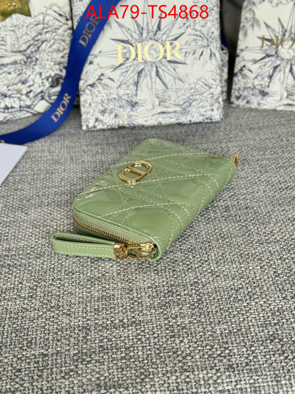 ID: TS4868 $: 79USD,