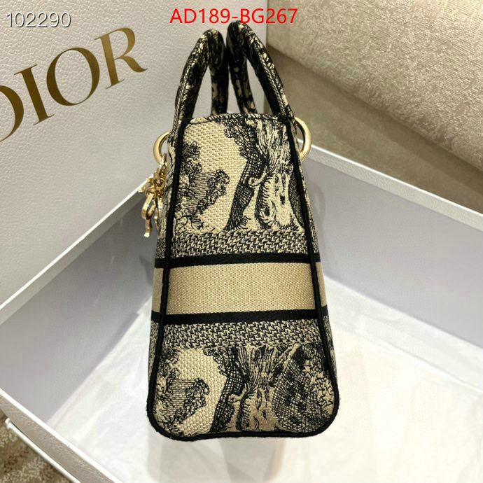 ID: BG267 $: 189USD,