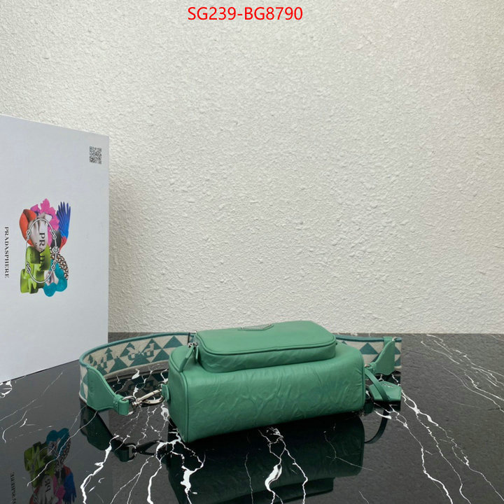 ID: BG8790 $: 239USD,