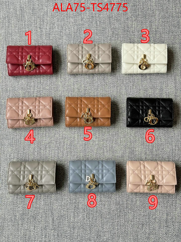 ID: TS4775 $: 75USD,