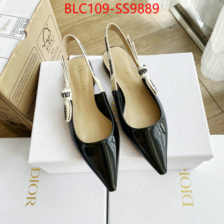 Women Shoes-Dior best knockoff ID: SS9889 $: 109USD