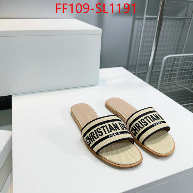Women Shoes-Dior where to buy high quality ID: SL1191 $: 109USD