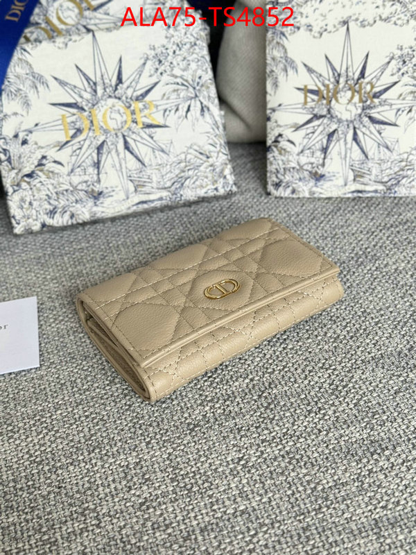 ID: TS4852 $: 75USD,