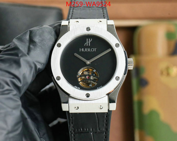 ID: WA9524
