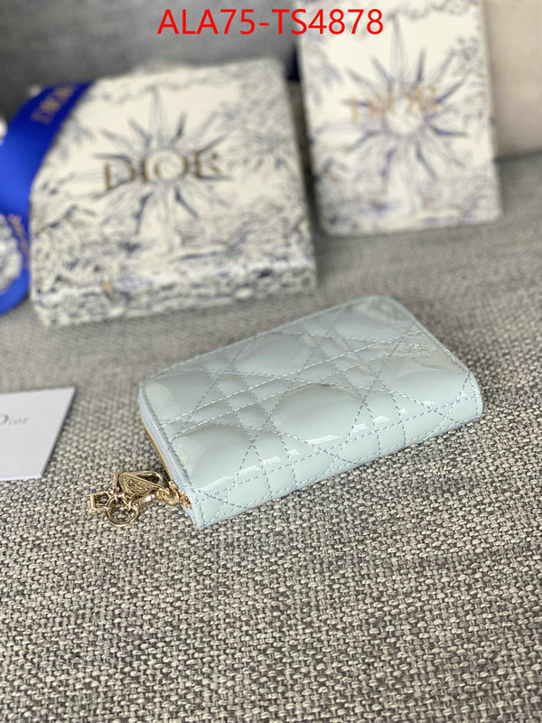 ID: TS4878 $: 75USD,