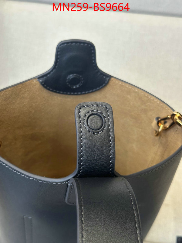 Loewe Bags(TOP)-Handbag- where should i buy replica ID: BS9664 $: 259USD,