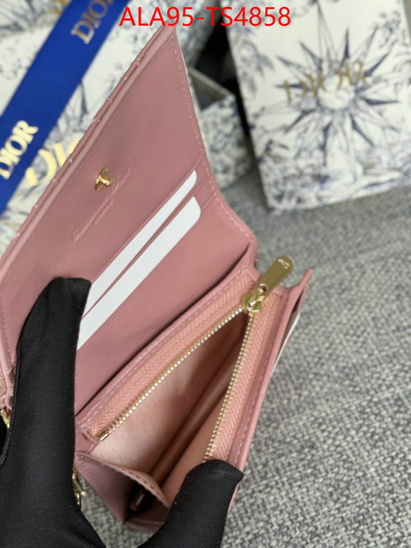 ID: TS4858 $: 95USD,