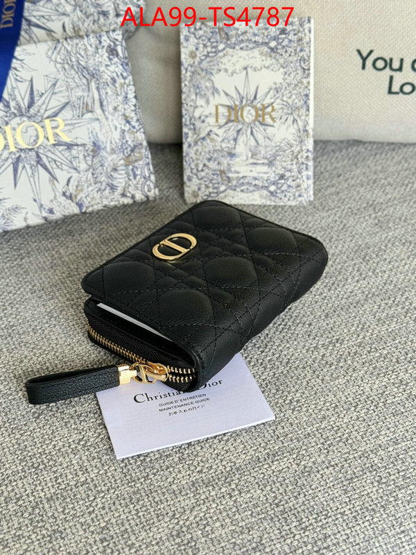 ID: TS4787 $: 99USD,