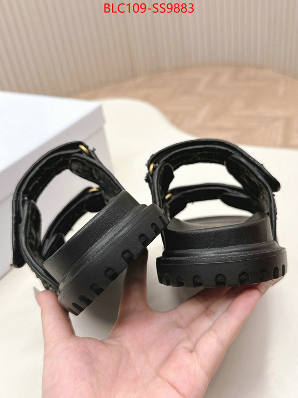 Women Shoes-Dior for sale online ID: SS9883 $: 109USD