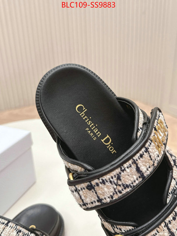 Women Shoes-Dior for sale online ID: SS9883 $: 109USD