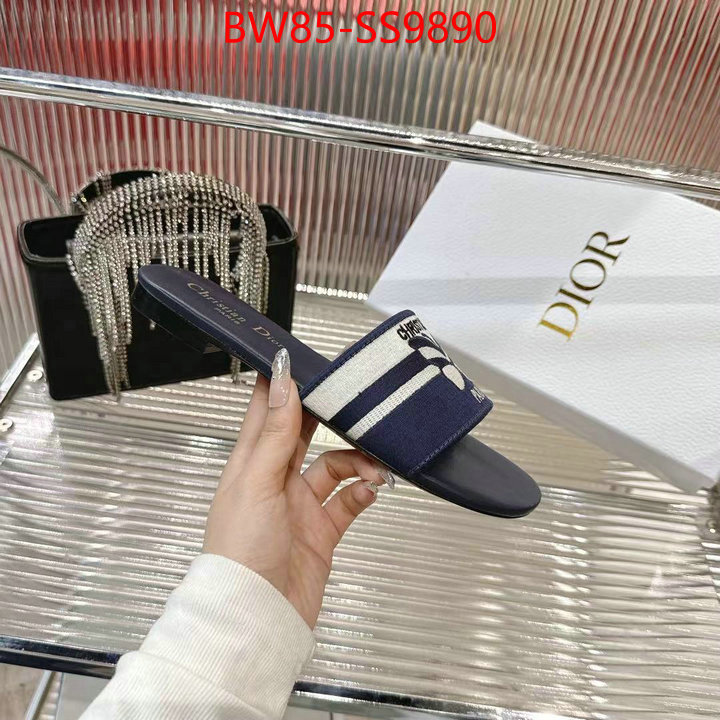 Women Shoes-Dior sell online ID: SS9890 $: 85USD