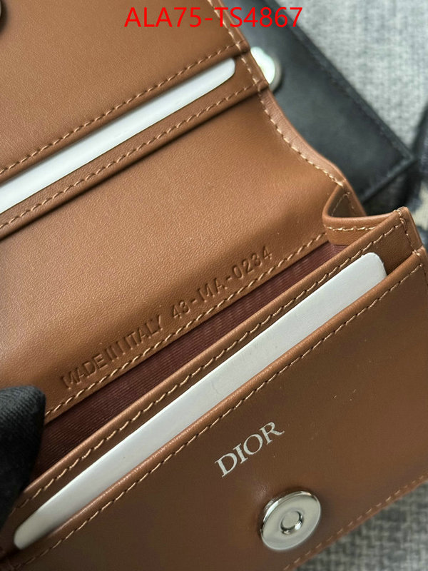 ID: TS4867 $: 75USD,