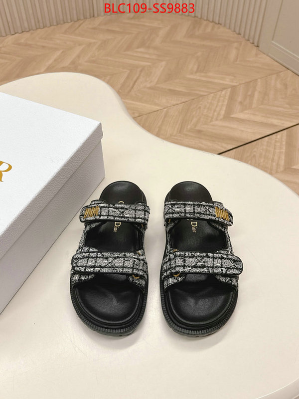 Women Shoes-Dior for sale online ID: SS9883 $: 109USD