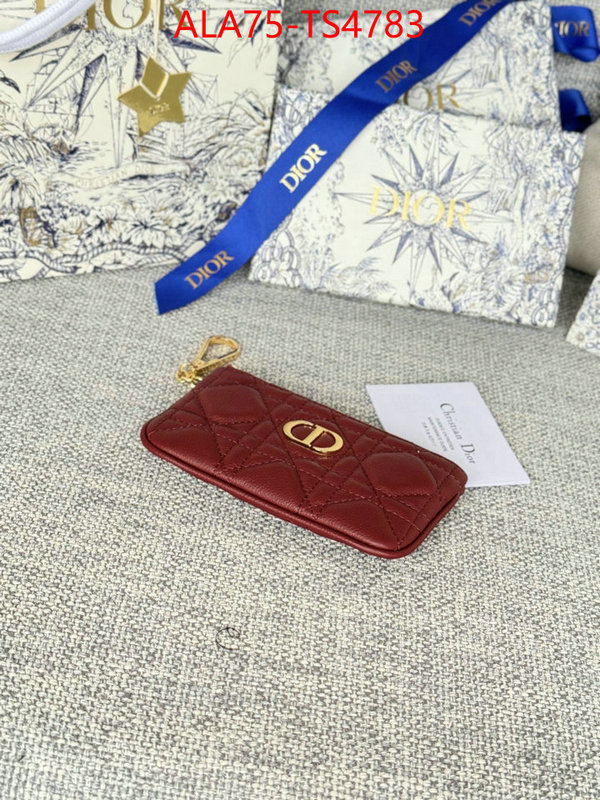 ID: TS4783 $: 75USD,