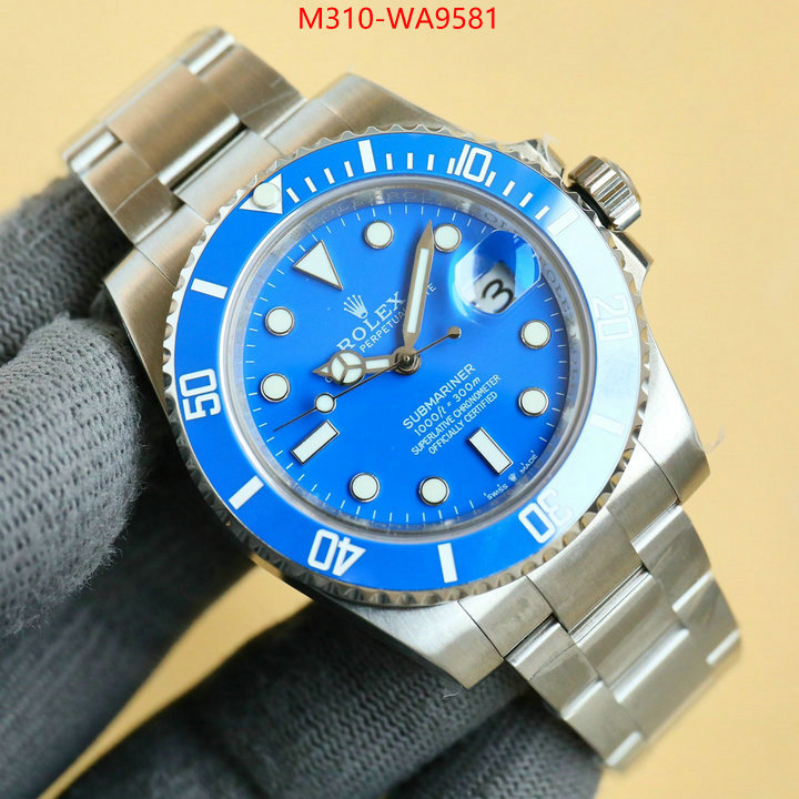 ID: WA9581