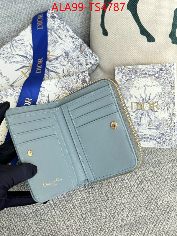ID: TS4787 $: 99USD,