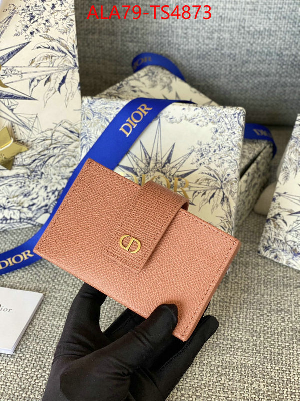 ID: TS4873 $: 79USD,