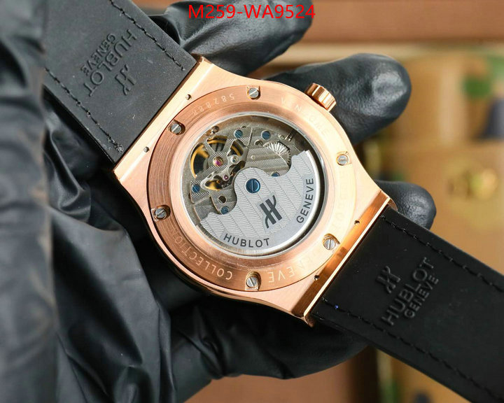 ID: WA9524