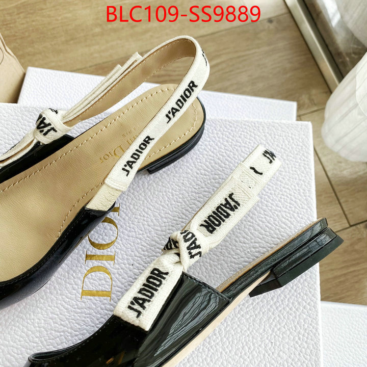 Women Shoes-Dior best knockoff ID: SS9889 $: 109USD