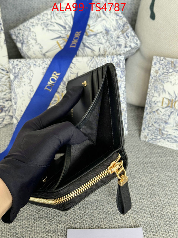 ID: TS4787 $: 99USD,
