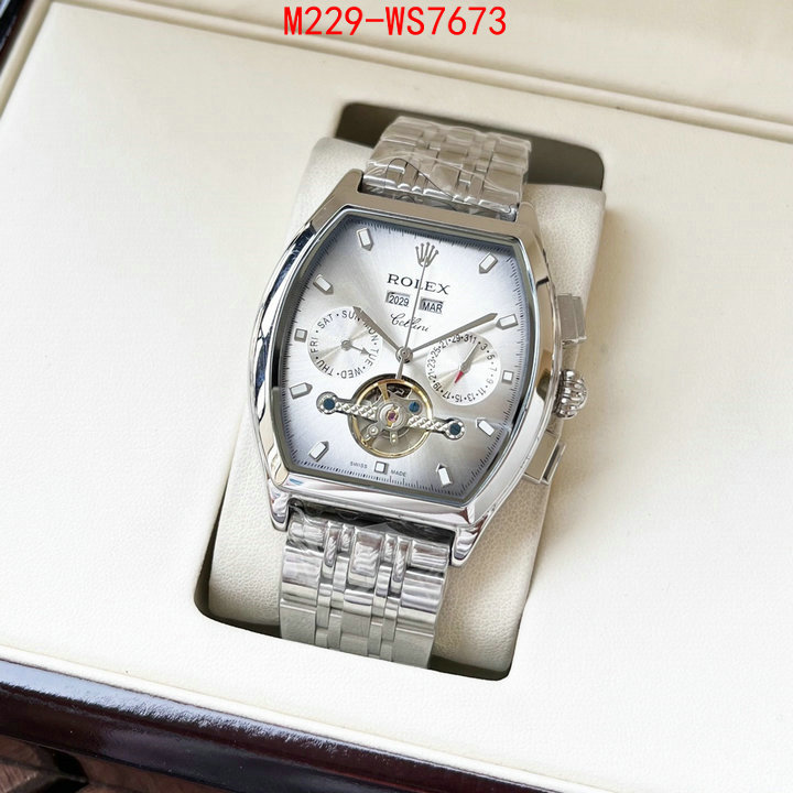 ID: WS7673