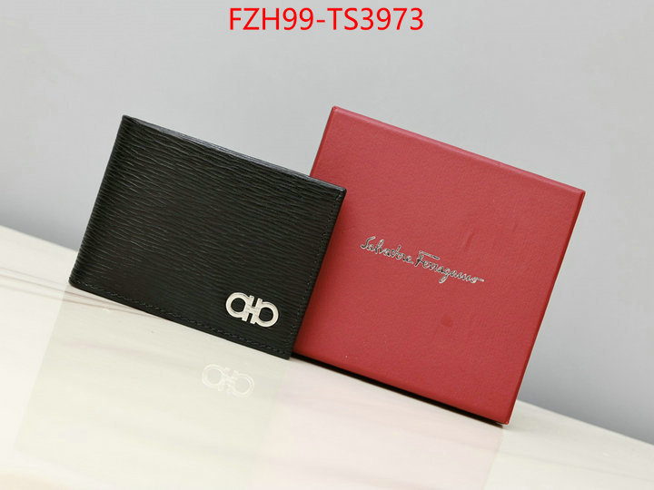 ID: TS3973 $: 99USD,
