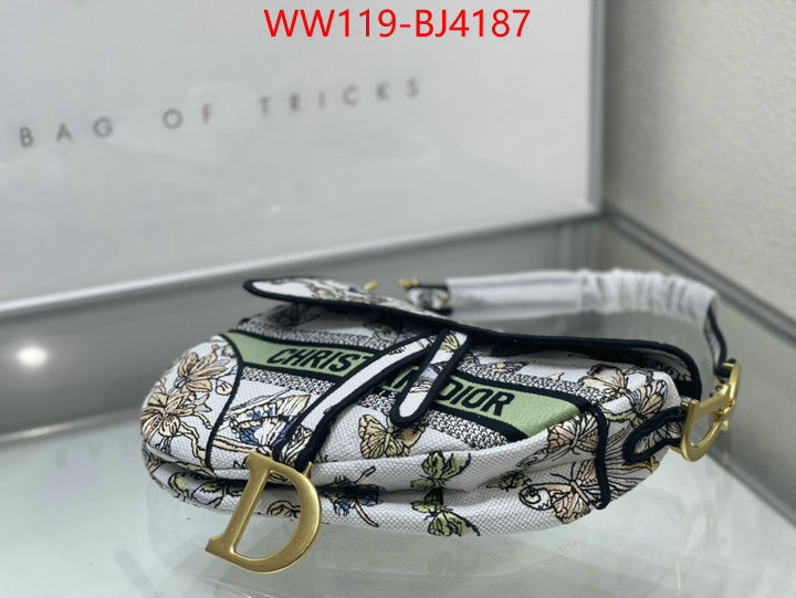 ID: BJ4187 $: 119USD,