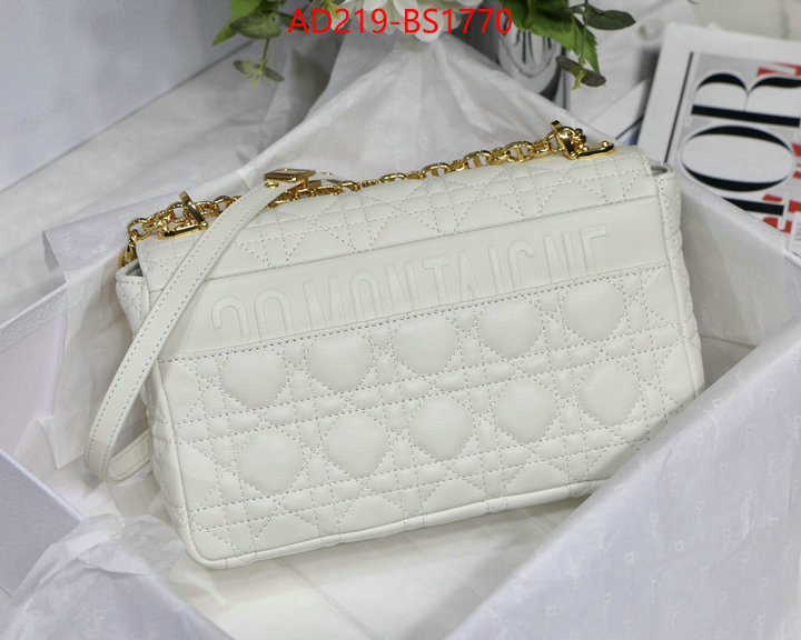 ID: BS1770 $: 219USD,