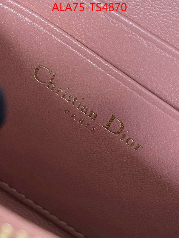 ID: TS4870 $: 75USD,