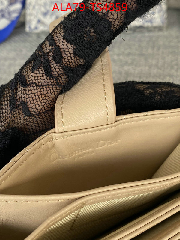 ID: TS4859 $: 79USD,
