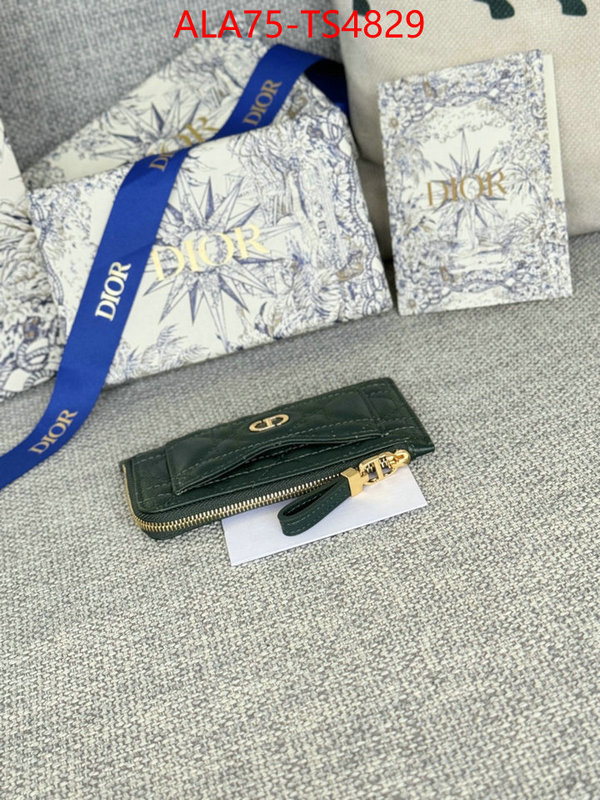 ID: TS4829 $: 75USD,