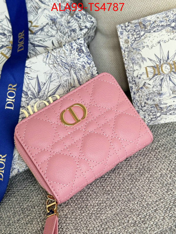 ID: TS4787 $: 99USD,